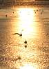 4picture022b.jpg