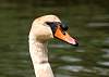 img_1738b.jpg