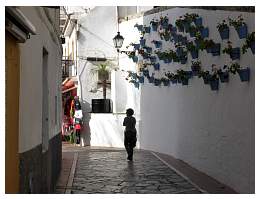 p1020937.jpg